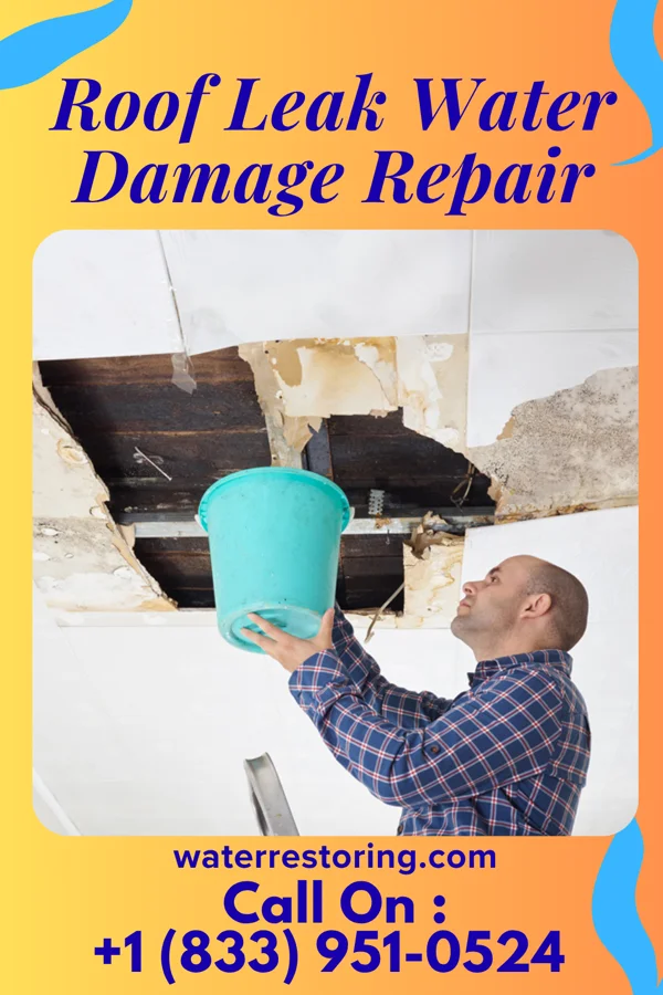 Roof Leak Water Damage Repair in Mitchell, SD