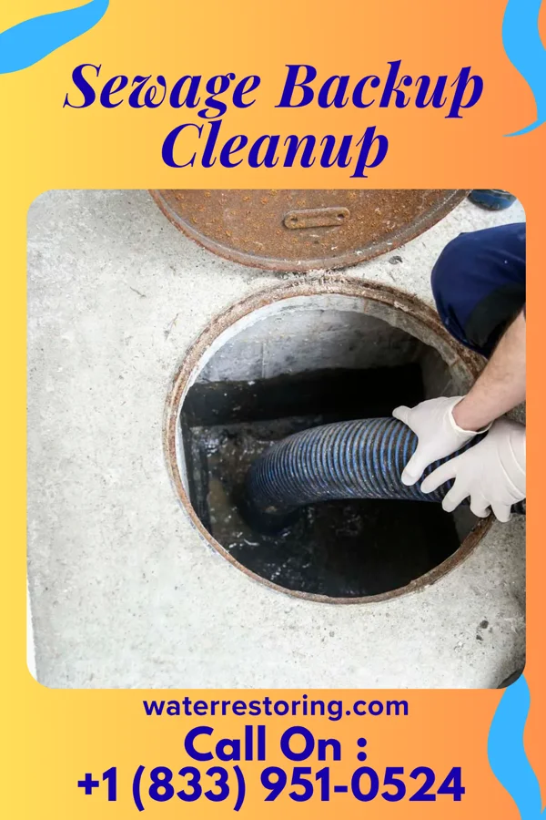 Sewage Backup Cleanup in Mitchell, SD